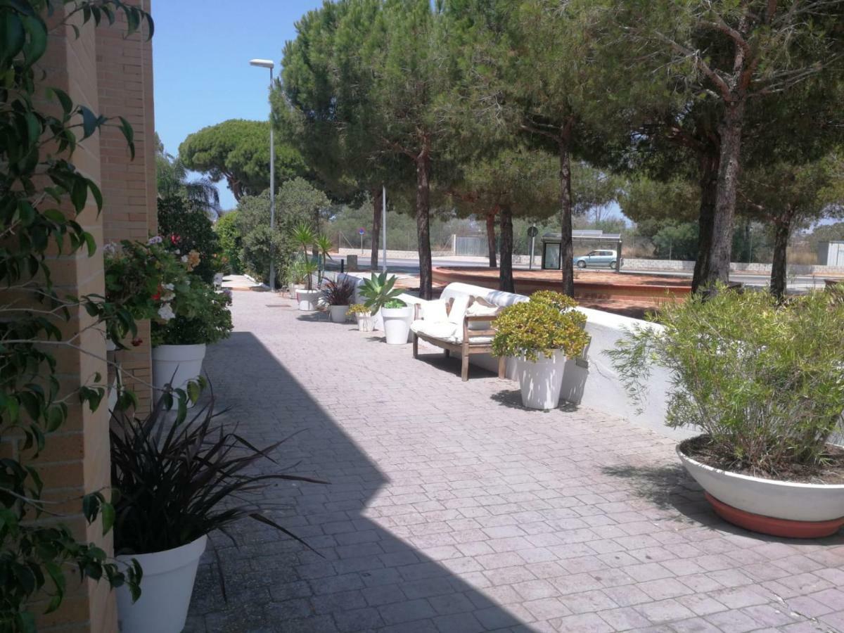 Hotel Marisma Sancti Petri Chiclana de la Frontera Exterior photo